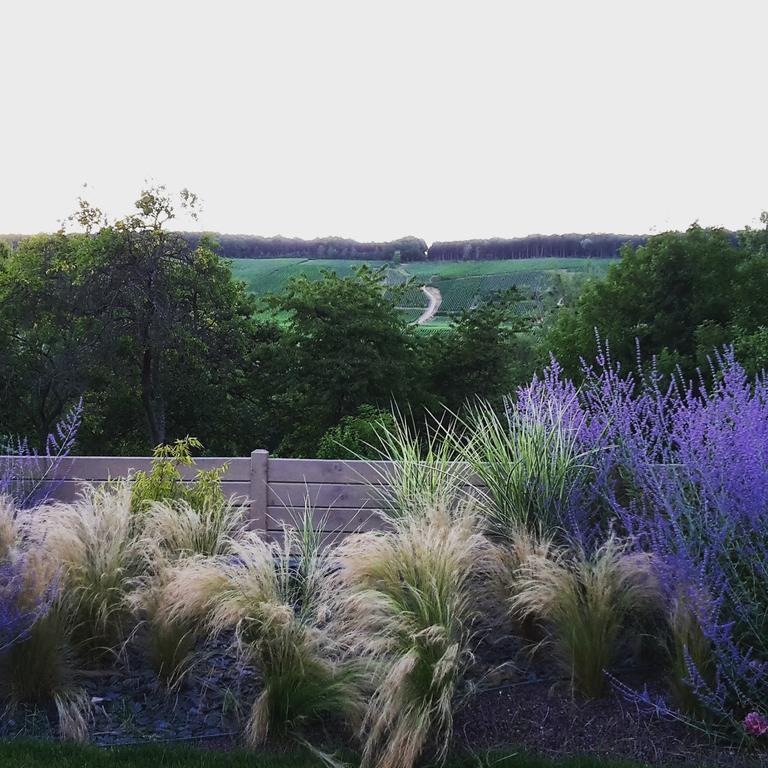 Gite Millesime Et Une Nuit Villers-sous-Châtillon 외부 사진