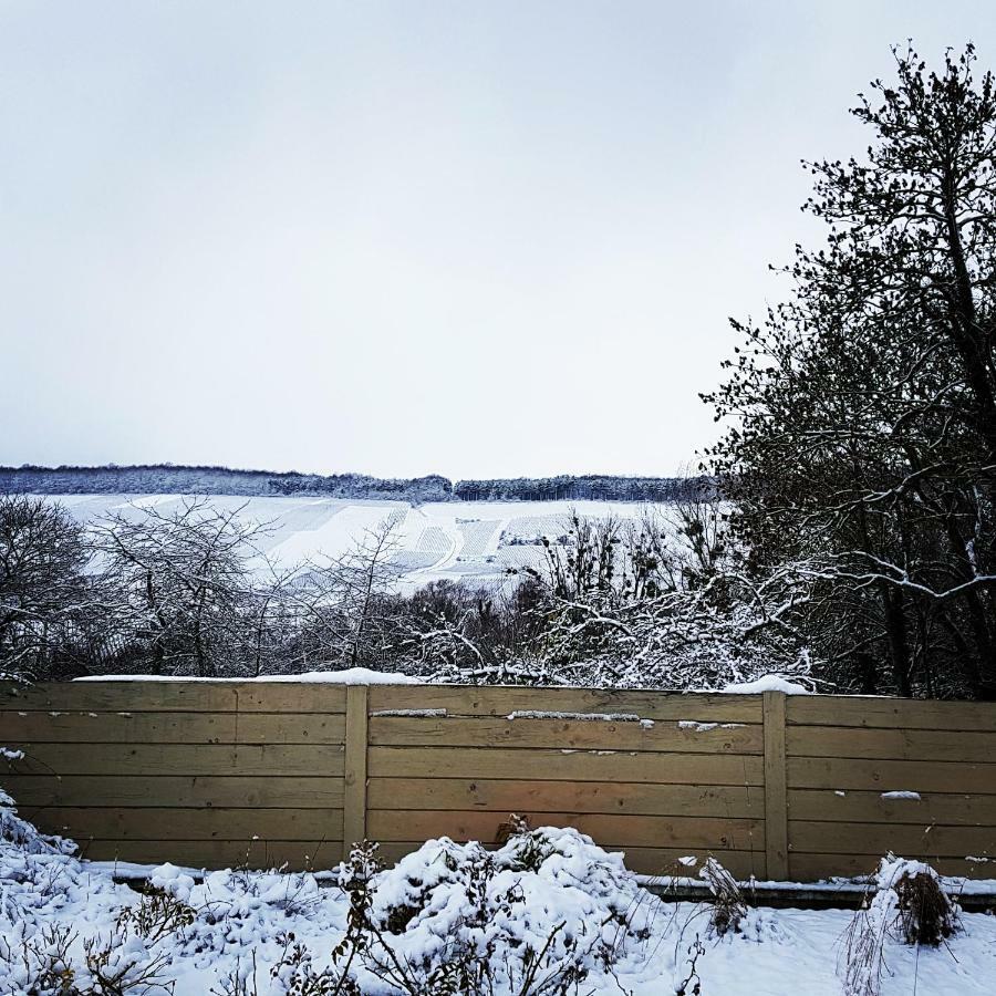Gite Millesime Et Une Nuit Villers-sous-Châtillon 외부 사진